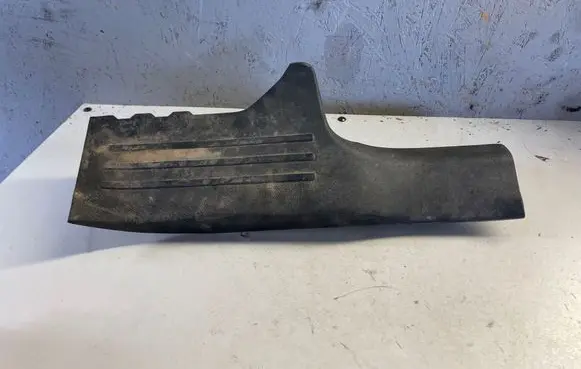Renault Koleos II Rear sill trim cover B21602ZG000