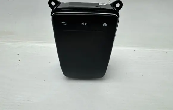 Mercedes-Benz AMG GT 4 x290 w290 Central body control module A2909004403 A2909015801 2709231961