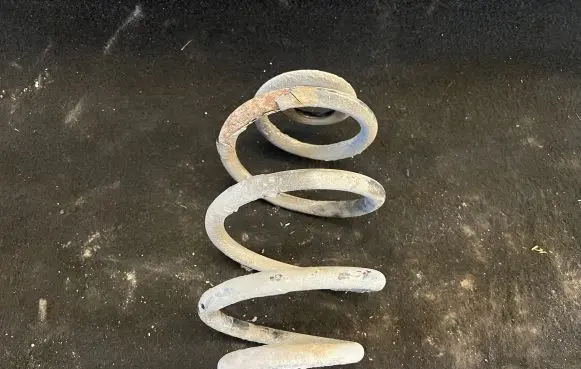 Volkswagen PASSAT B5.5 Rear coil spring