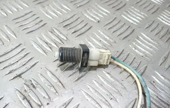 Peugeot 406 Brake pedal sensor switch E802