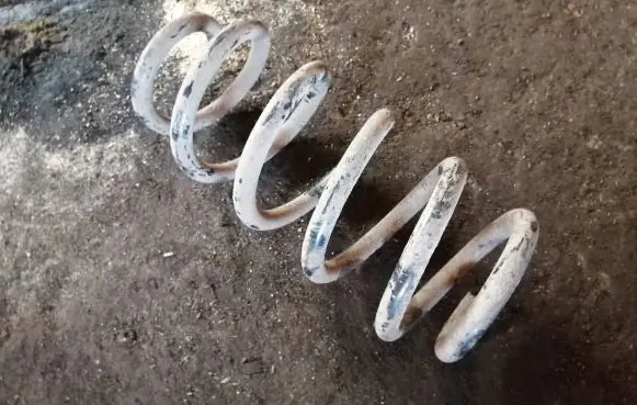 Toyota RAV 4 (XA30) Rear coil spring