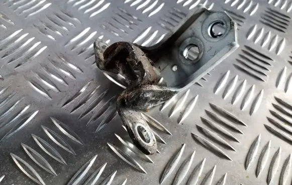 Nissan Juke I F15 Front door lower hinge 