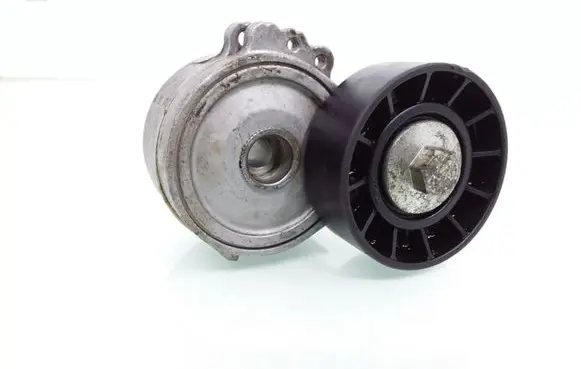 Citroen C5 Generator/alternator belt tensioner TL310DA