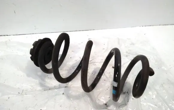 Nissan Qashqai Rear coil spring