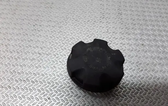 BMW 3 F30 F35 F31 Coolant expansion tank/reservoir cap 