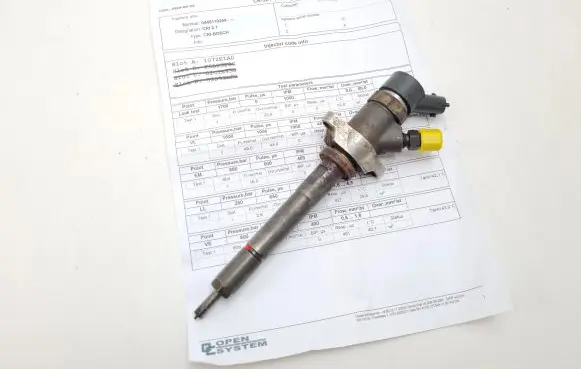 Citroen C5 Fuel injector 0445110259