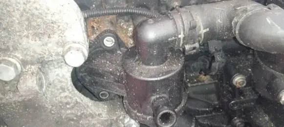 Skoda Superb B6 (3T) Engine coolant pipe/hose 03L121111AE V7548004