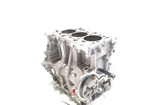 Mini Cooper Countryman F60 Engine block B38A15A SOMERUST