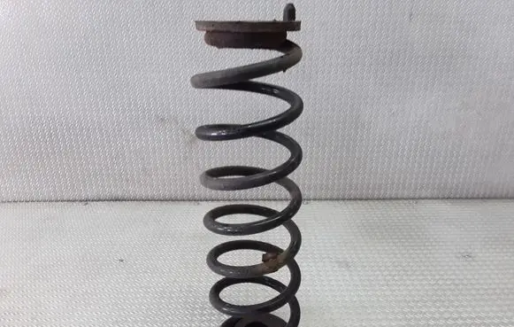 Skoda Octavia Mk2 (1Z) Rear coil spring
