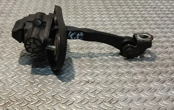 Fiat Doblo Front door check strap stopper