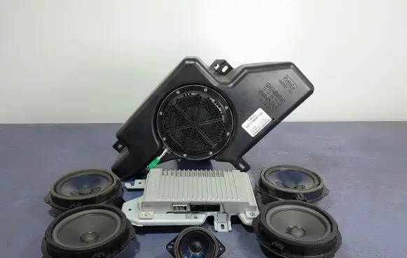Ford Mondeo MK V Subwoofer speaker DS7T-18T806-EB