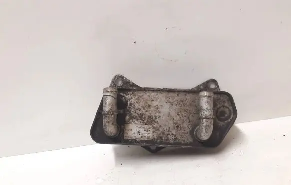 Volkswagen PASSAT B6 Engine oil radiator 02E409061B 47034
