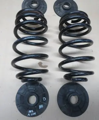 Opel Insignia A Rear coil spring 1043220422