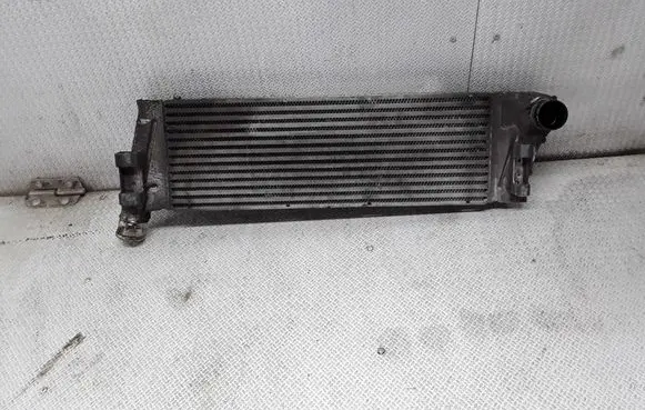 Renault Megane II Intercooler radiator 0005751