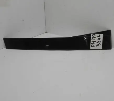Other rear door trim element
