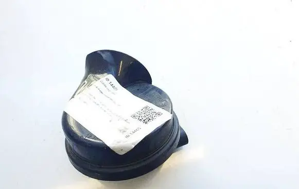 Volkswagen PASSAT B6 Horn signal E1000209