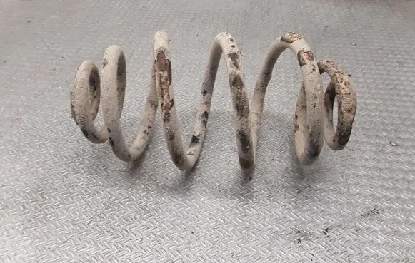 Volkswagen PASSAT B5.5 Rear coil spring