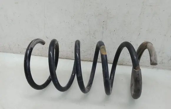 Rear coil spring