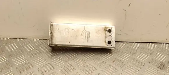 Tesla Model Y Front bumper shock/impact absorber 110919300C