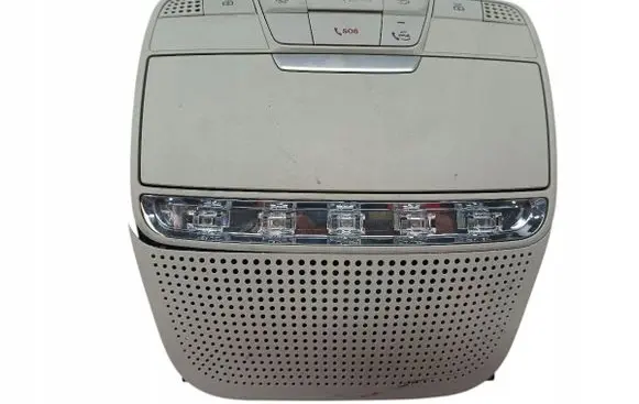Mercedes-Benz C W205 Rear seat light