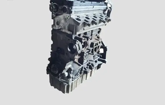 Skoda Octavia Mk2 (1Z) Engine CAY