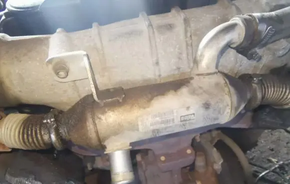 Citroen Xsara EGR valve cooler 9627242880 861059g