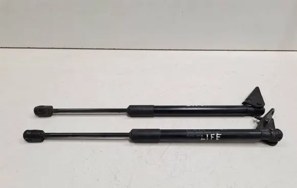 Nissan Leaf I (ZE0) Tailgate/trunk strut/damper 904503NF0A 718919