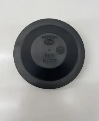 Volkswagen Jetta V Headlight/headlamp dust cover 153873