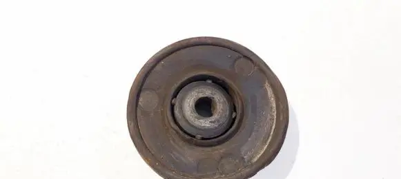 Coil spring mount