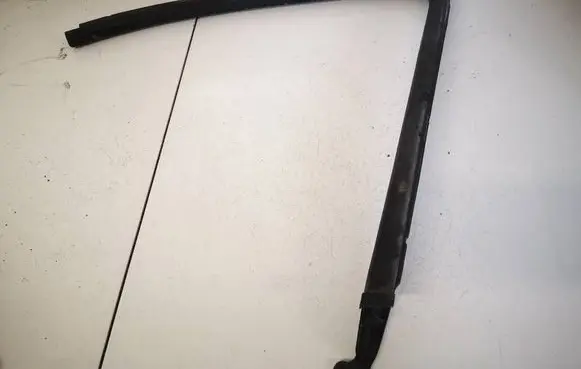 Renault Scenic II - Grand scenic II Front door glass trim molding 8200239278