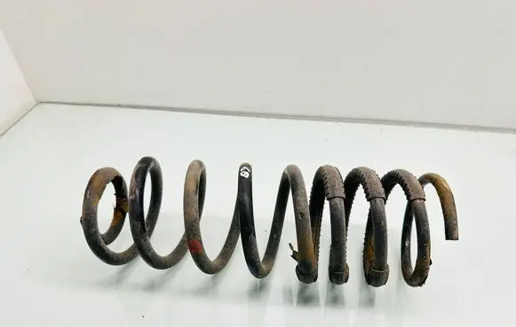 Ford Transit - Tourneo Connect Rear coil spring 