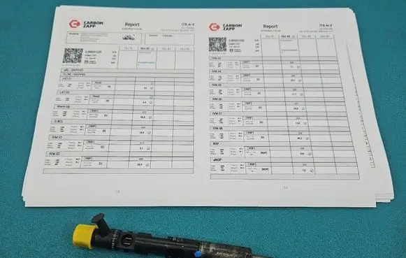 Renault Clio III Fuel injector EJBR05102D IMPRK1585585