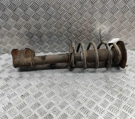 Hyundai Santa Fe Front shock absorber/damper 546602B510