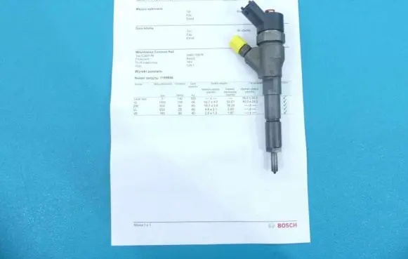 Citroen Xsara Picasso Fuel injector 0445110076 IMPRK1199656