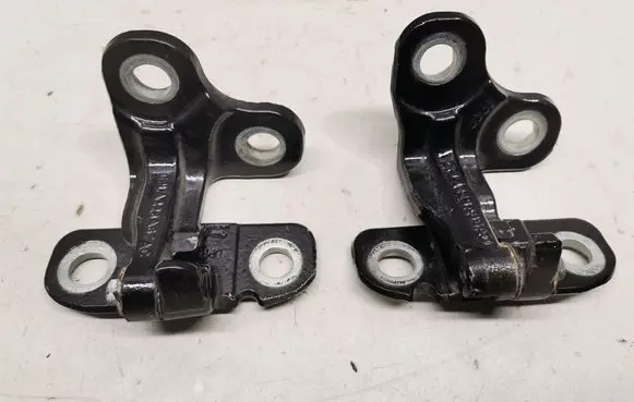 Rear door lower hinge