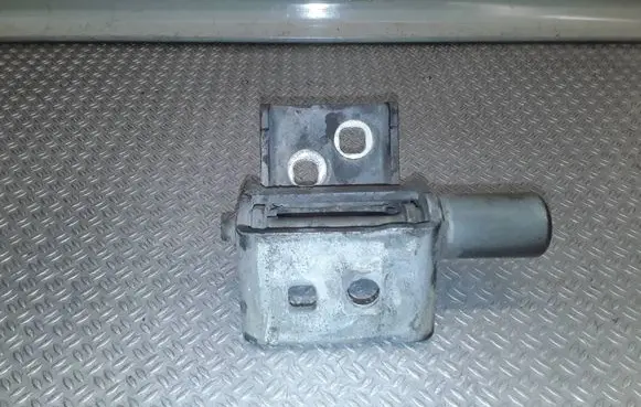 Renault Modus Front door lower hinge 