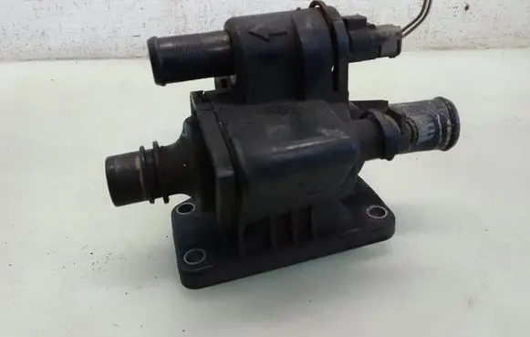 Thermostat/thermostat housing