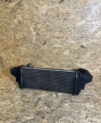 Mercedes-Benz GL X164 Radiator support slam panel A2515000000 047072006