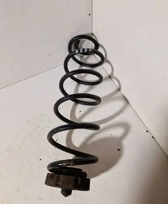 Rear coil spring