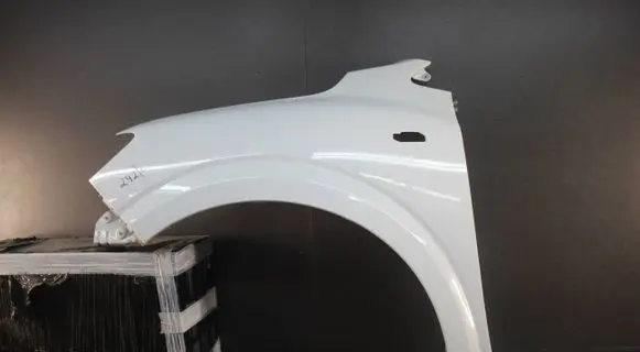 Dacia Sandero III Fender mounting bracket 260925030