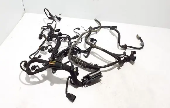 Engine installation wiring loom