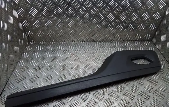 Other front door trim element