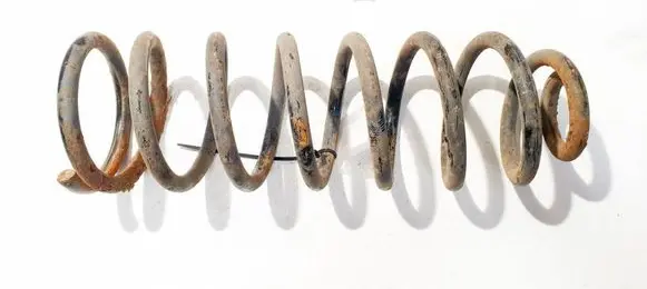 Rear coil spring