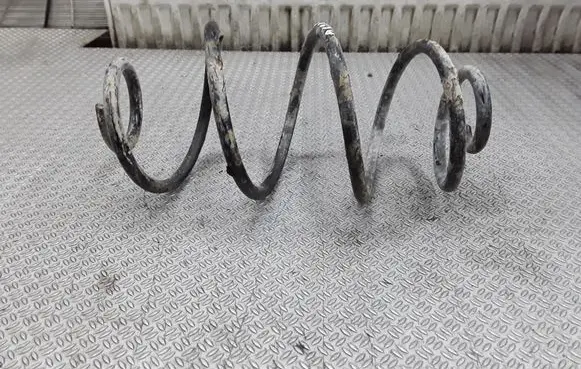 Rear coil spring