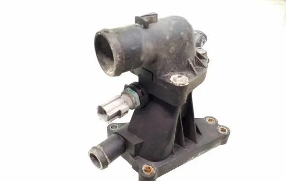 Thermostat/thermostat housing