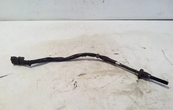 Chevrolet Captiva Exhaust gas temperature sensor 