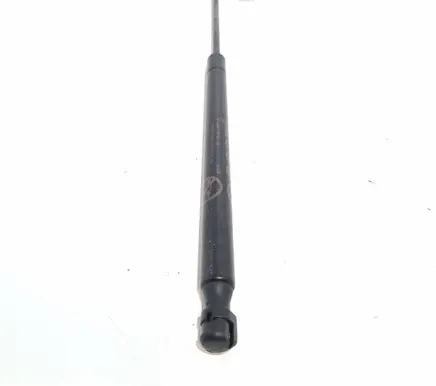 Ford Mustang Mach-E Front bonnet/hood damper/strut LJ8BR16C827AB