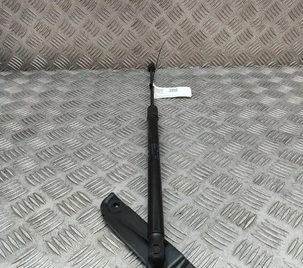 Tailgate/trunk strut/damper