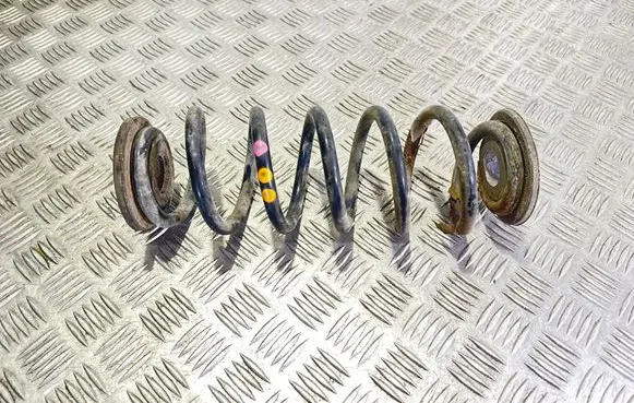 Rear coil spring