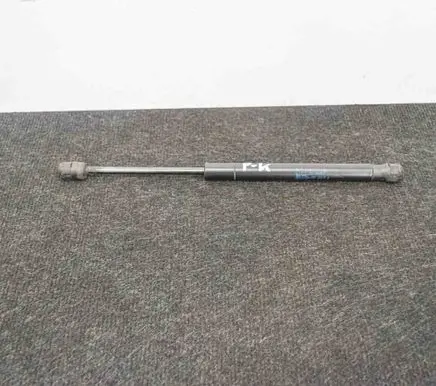 Tesla Model X Front bonnet/hood damper/strut 103387900B